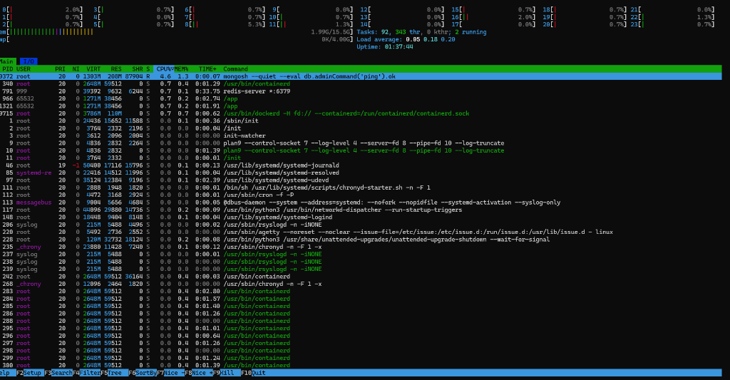 Giao diện giám sát hệ thống với htop thực tế